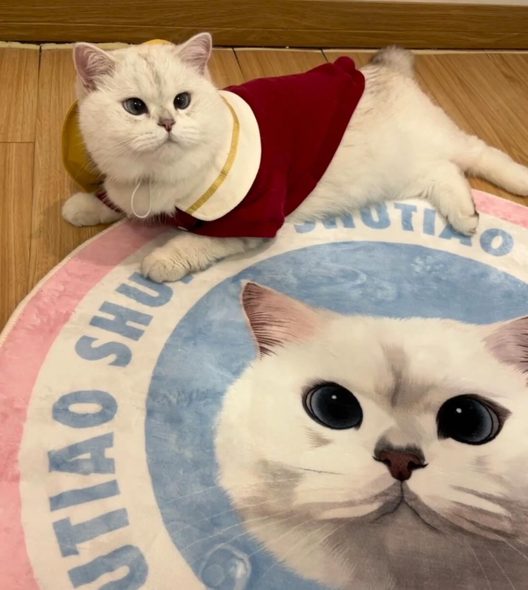 How to Choose the Right Custom Pet Memorial Product for Your Needs