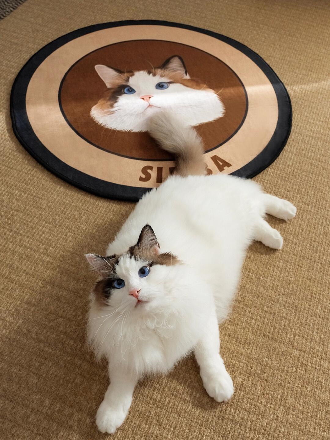 "Custom Pet Carpets | Durable & Hypoallergenic Designs | Mewlymade"