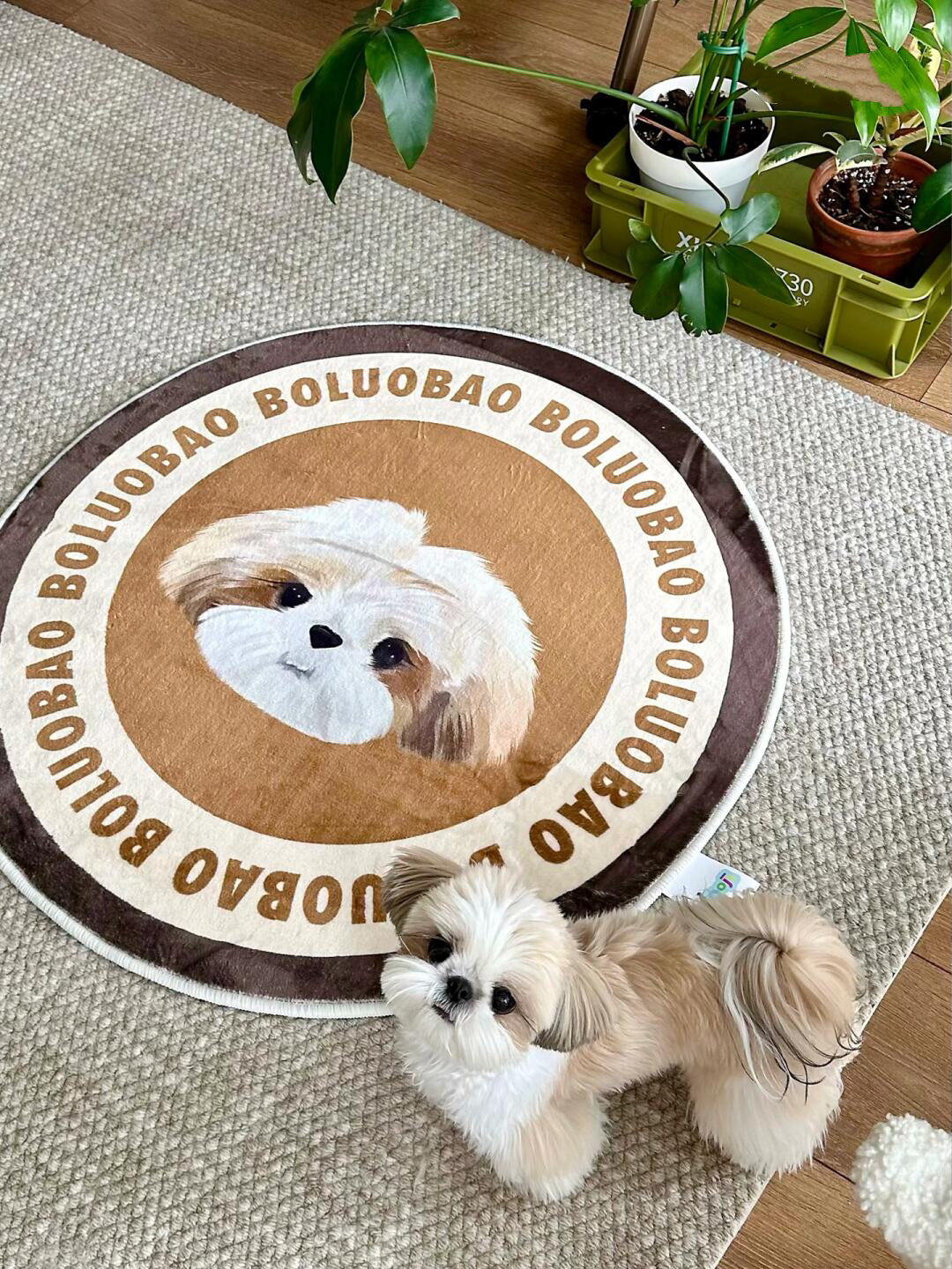How to Choose the Perfect Custom Rug for Your Pet’s Personality