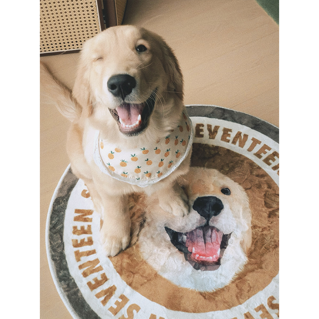 Mewlymade-Pet custom milk velvet carpet