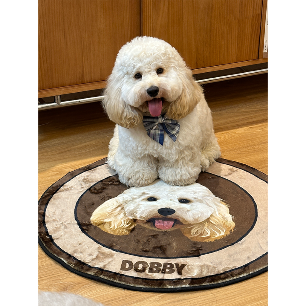 Mewlymade-Pet custom milk velvet carpet