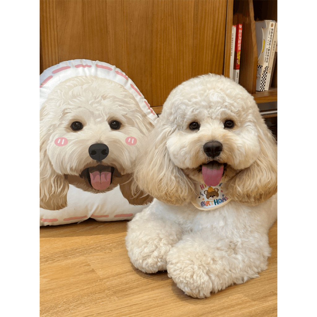 Mewlymade-Pet custom pillow