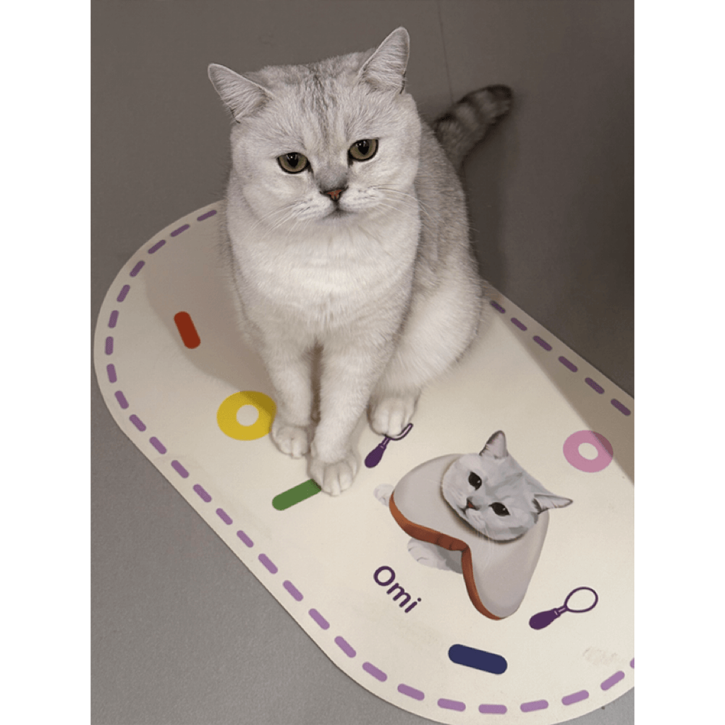 Mewlymade-Pet custom table mats
