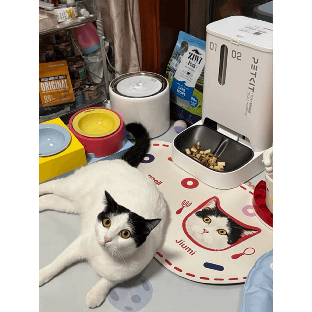 Mewlymade-Pet custom table mats