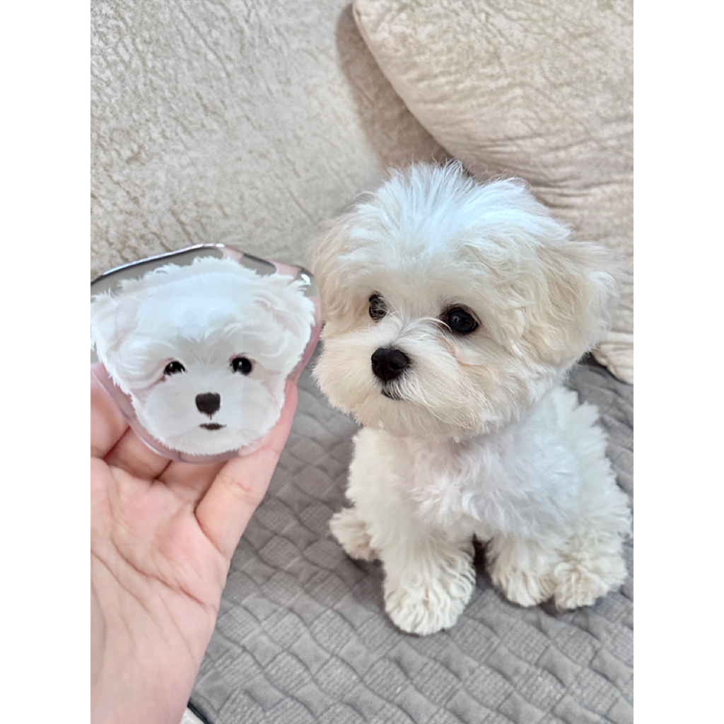 Mewlymade-Pet Customized Mobile Phone Airbag Holder